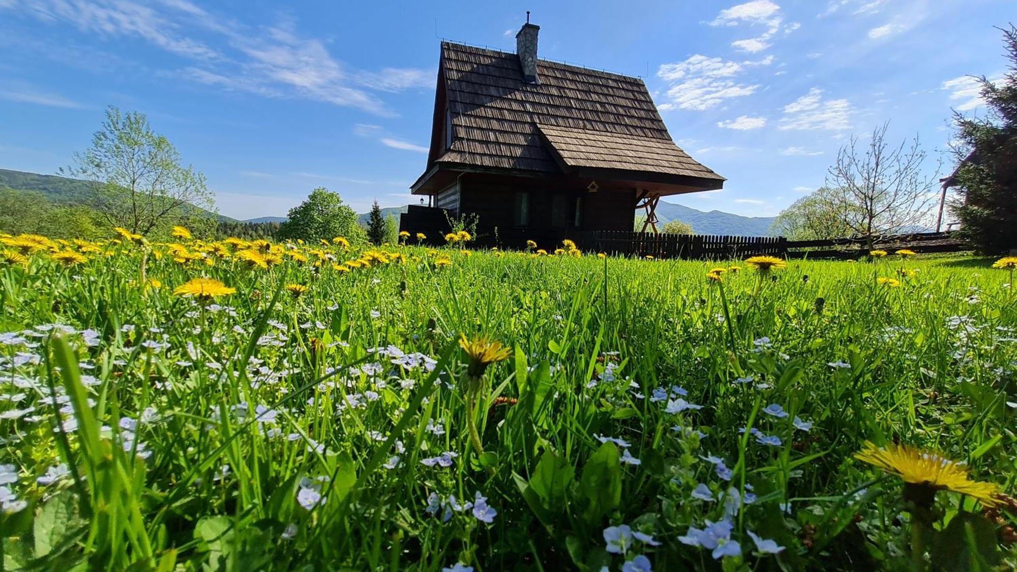 Chatka Kudlatka Wetlina Exteriör bild