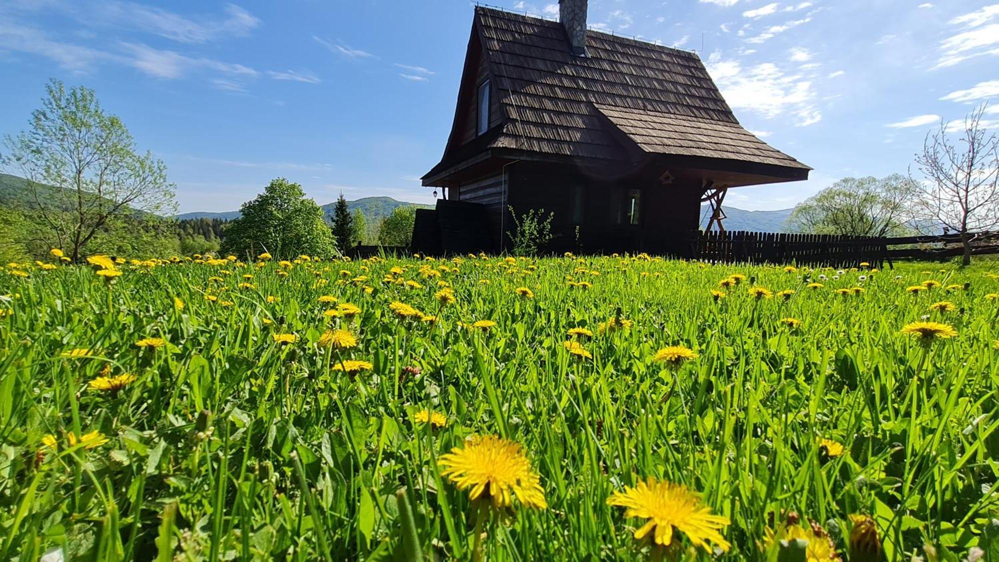 Chatka Kudlatka Wetlina Exteriör bild